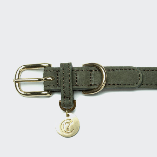Cloud 7 Dog Collar Tiergarten Moss