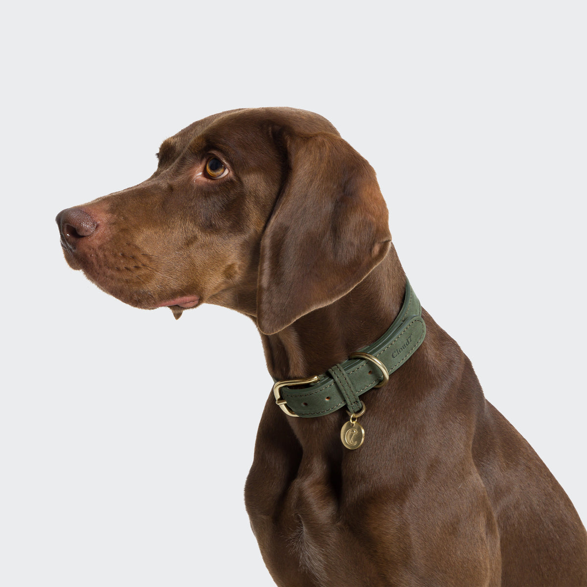 Tiergarten Moss dog collar design detail, soft fabric