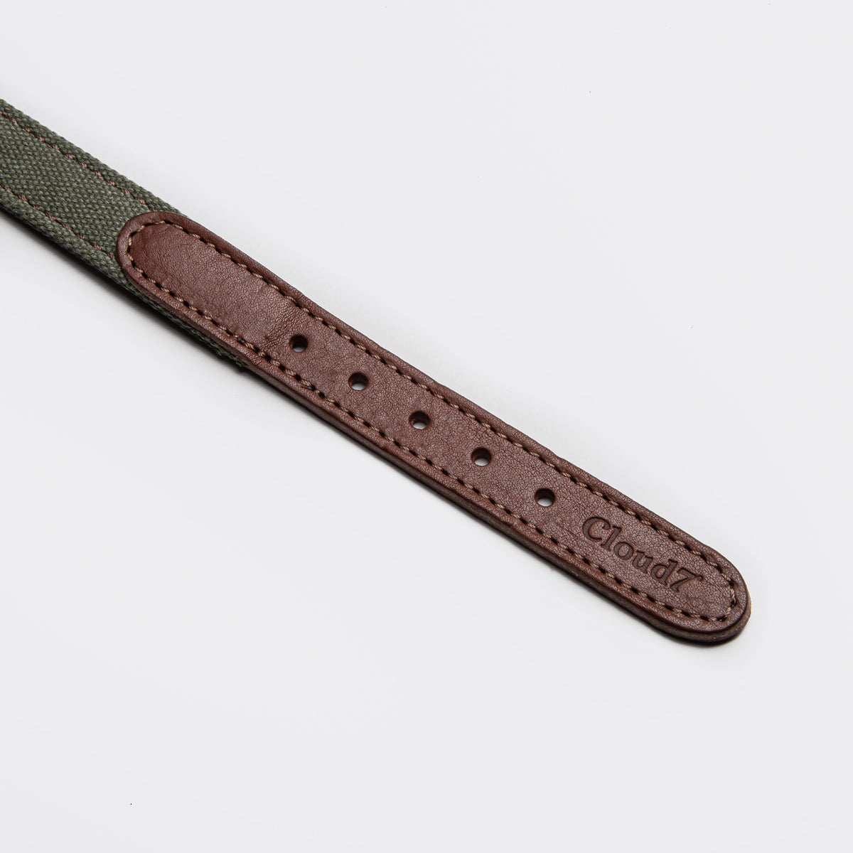 Olive canvas dog collar side view, adjustable strap