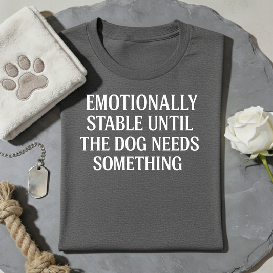 Emotionally Stable T-Shirt