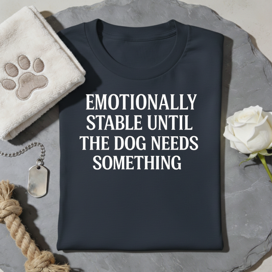 Emotionally Stable T-Shirt