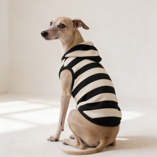 Pet Hoodie - Striped Chevron Black & Cream Cozy