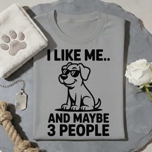 I Like Me And Maybe 3 People T-Shirt