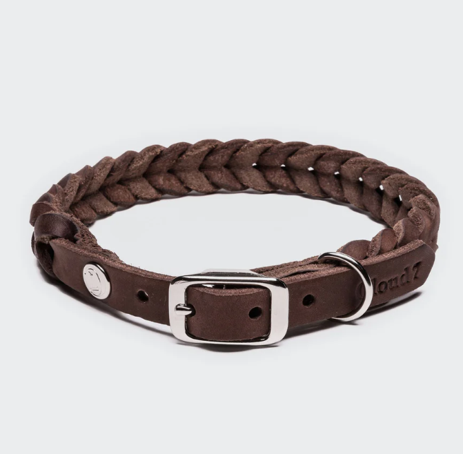Brown leather dog collar with silver hardware, Cloud 7 Central Park