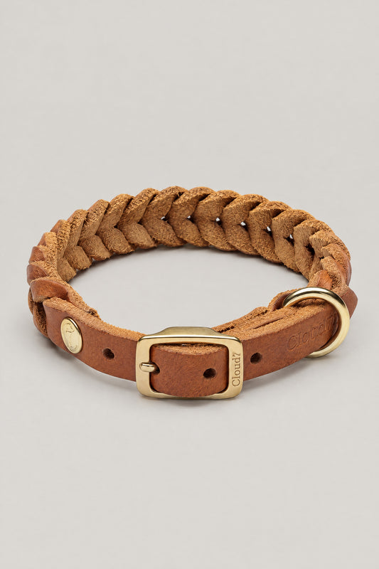 Caramel braided leather Cloud 7 Central Park dog collar with brass buckle, front view