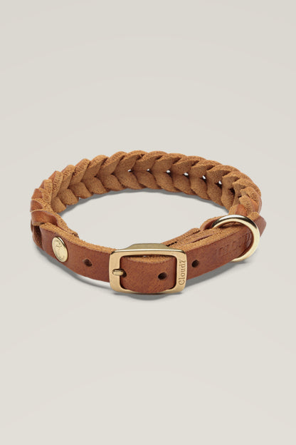 Cloud 7 Central Park braided leather dog collar in camel with brass buckle and D-ring