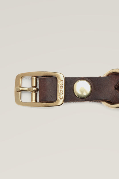 Solid brass buckle and rivet of the Cloud 7 Central Park Saddle Brown Gold leather dog collar, close-up