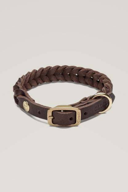 Cloud 7 Central Park braided leather dog collar in saddle brown with brass buckle and D-ring