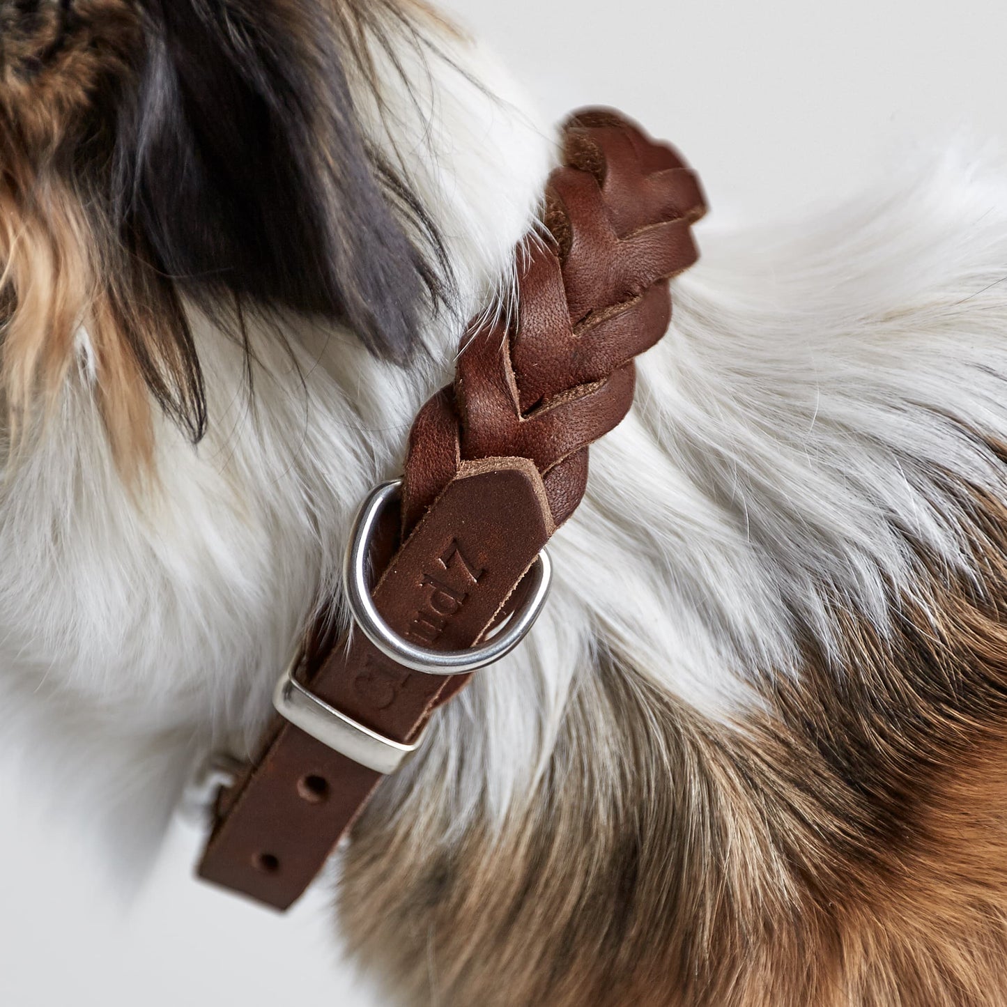 Central Park dog collar detail, brown leather silver hardware