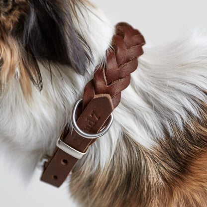 Central Park dog collar detail, brown leather silver hardware