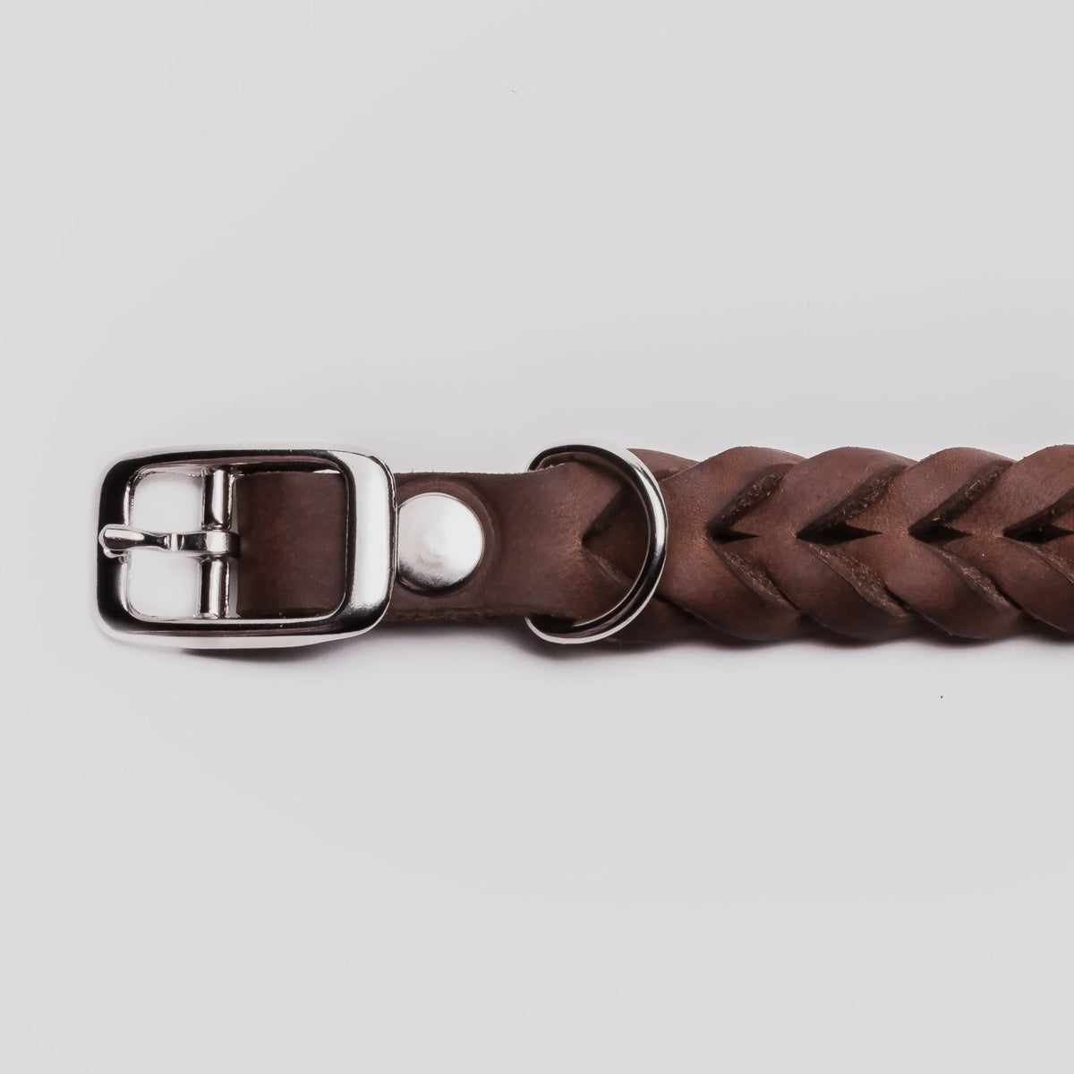 Brown leather dog collar back view, silver buckle