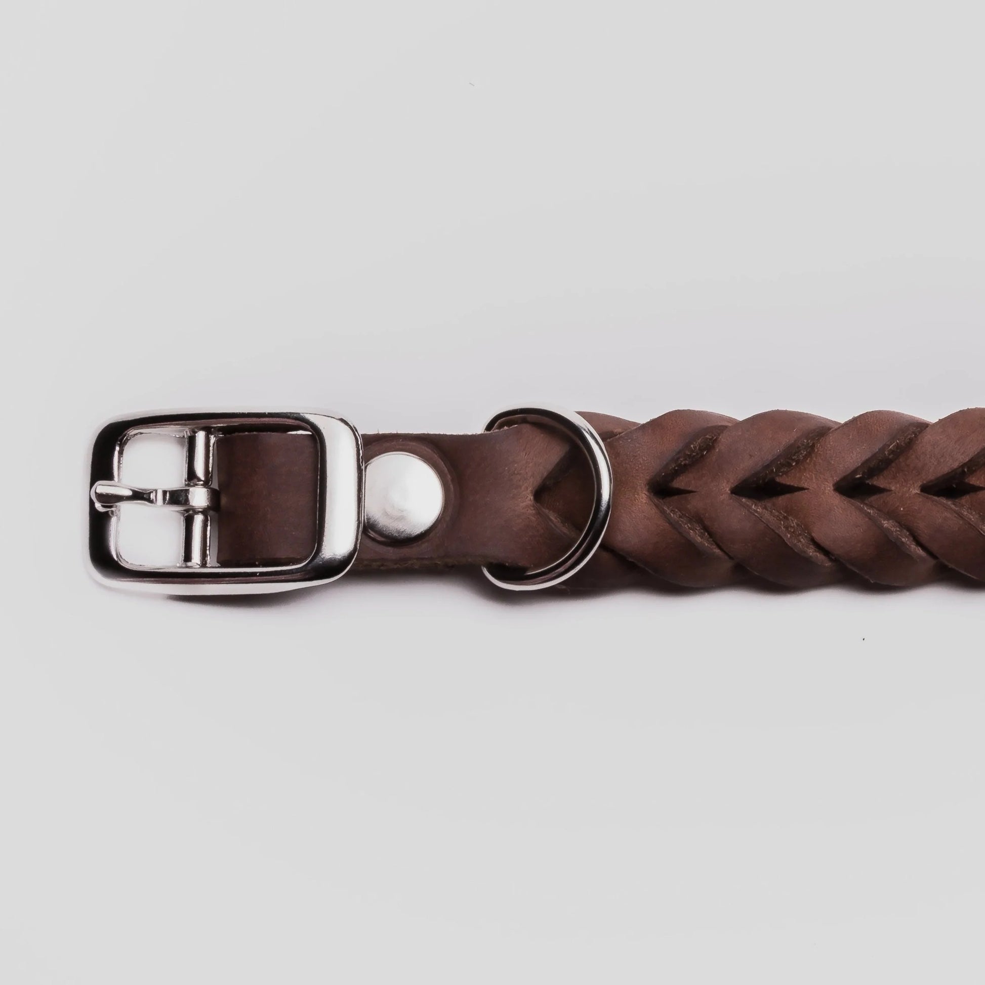Brown leather dog collar back view, silver buckle