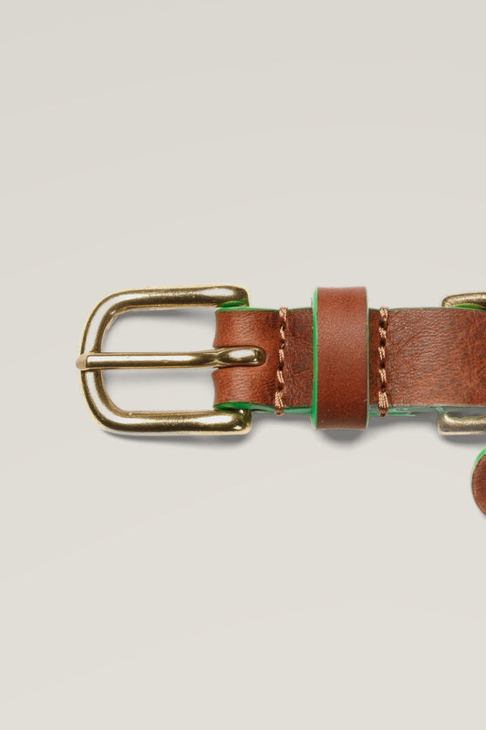 Brass buckle and keeper of the Cloud 7 Kings Park Cognac Green leather dog collar, close-up