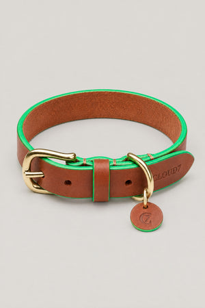 Cognac leather Cloud 7 Kings Park dog collar with green edges, brass buckle and C7 leather tag, front view