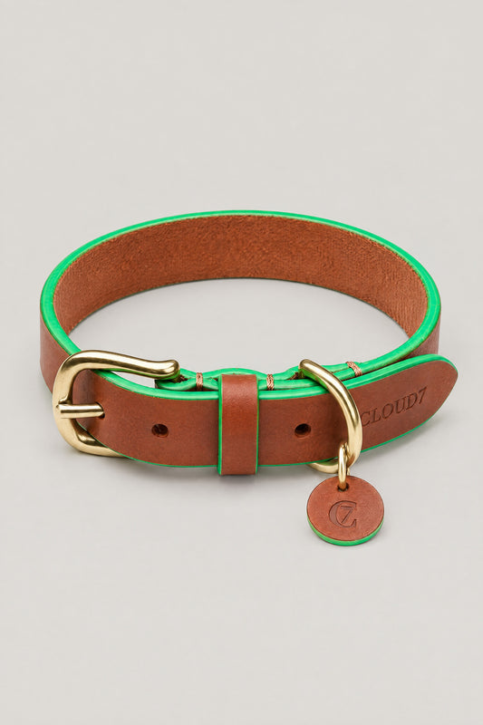 Cognac leather Cloud 7 Kings Park dog collar with green edges, brass buckle and C7 leather tag, front view