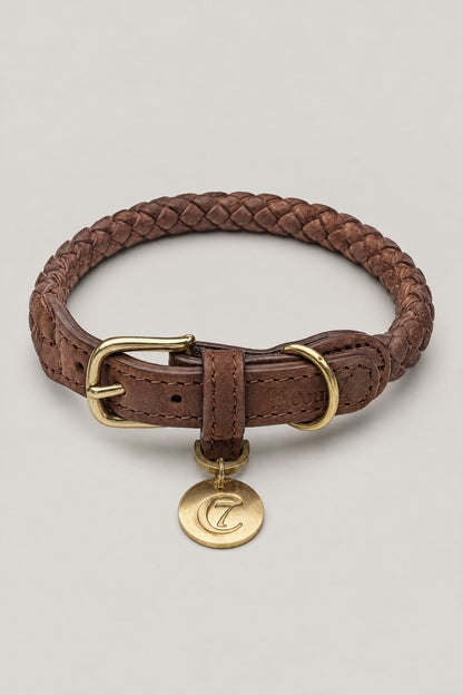 Chocolate brown braided nubuck Cloud 7 Ravello dog collar with brass buckle and logo coin, front view