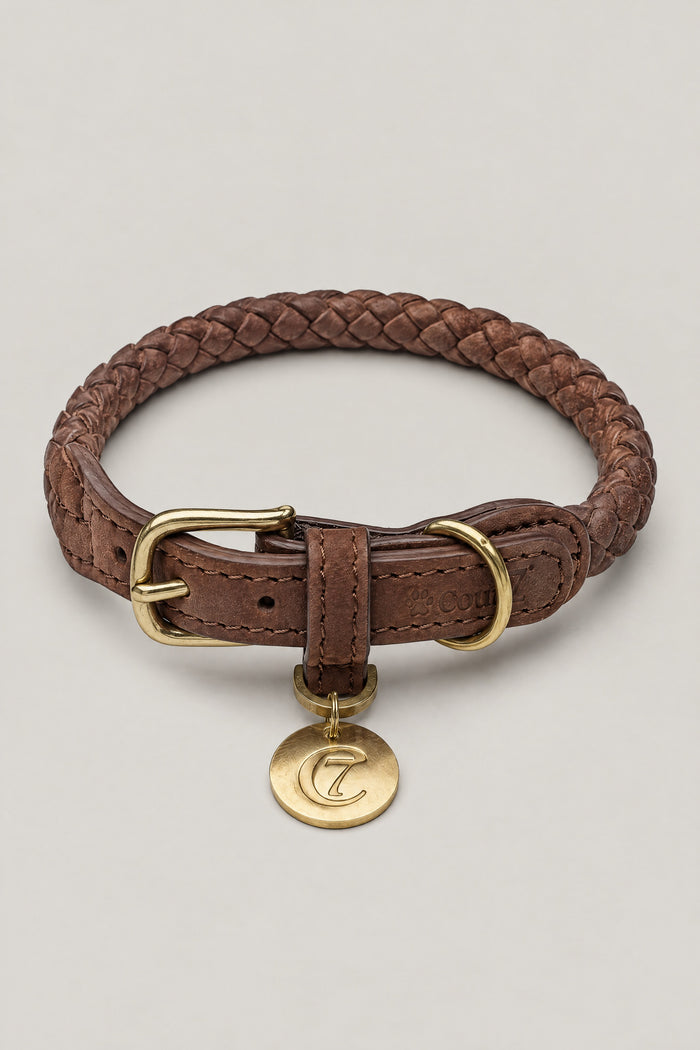 Cloud 7 Dog Collar Ravello Hazel