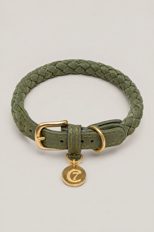 Olive green braided nubuck Cloud 7 Ravello dog collar with brass buckle and logo coin, front view