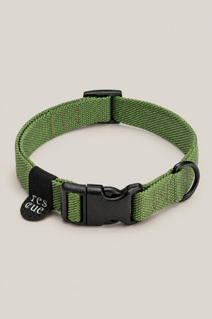 Green nylon Cloud 7 RESC7UE dog collar with black plastic buckle and rescue tag, front view