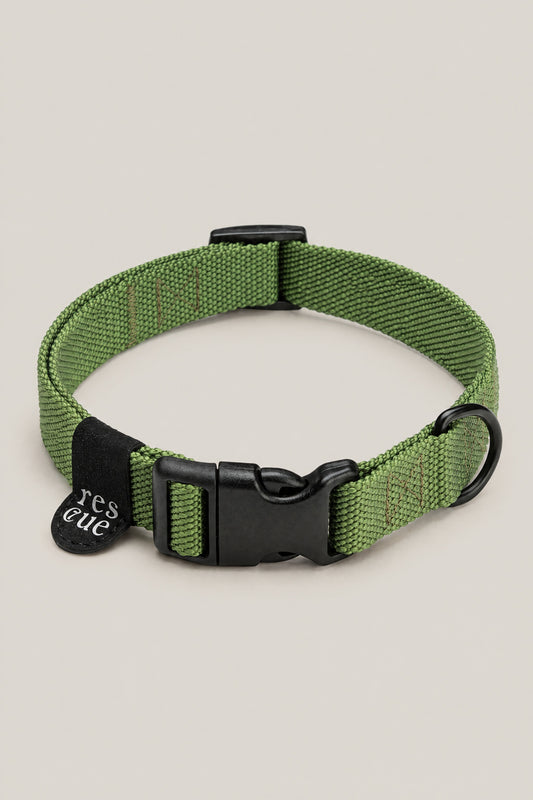 Green nylon Cloud 7 RESC7UE dog collar with black plastic buckle and rescue tag, front view