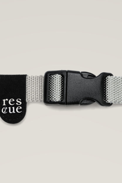 Black plastic buckle and rescue tag of the Cloud 7 RESC7UE Silver nylon dog collar, close-up