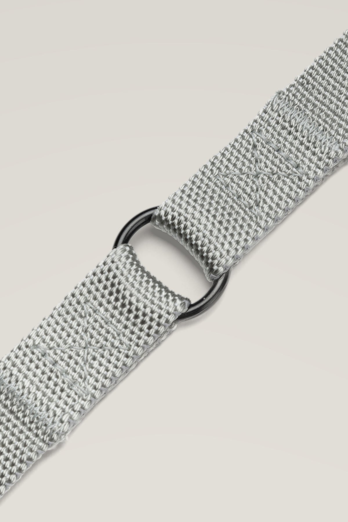 Black D-ring of the Cloud 7 RESC7UE Silver nylon dog leash, detail