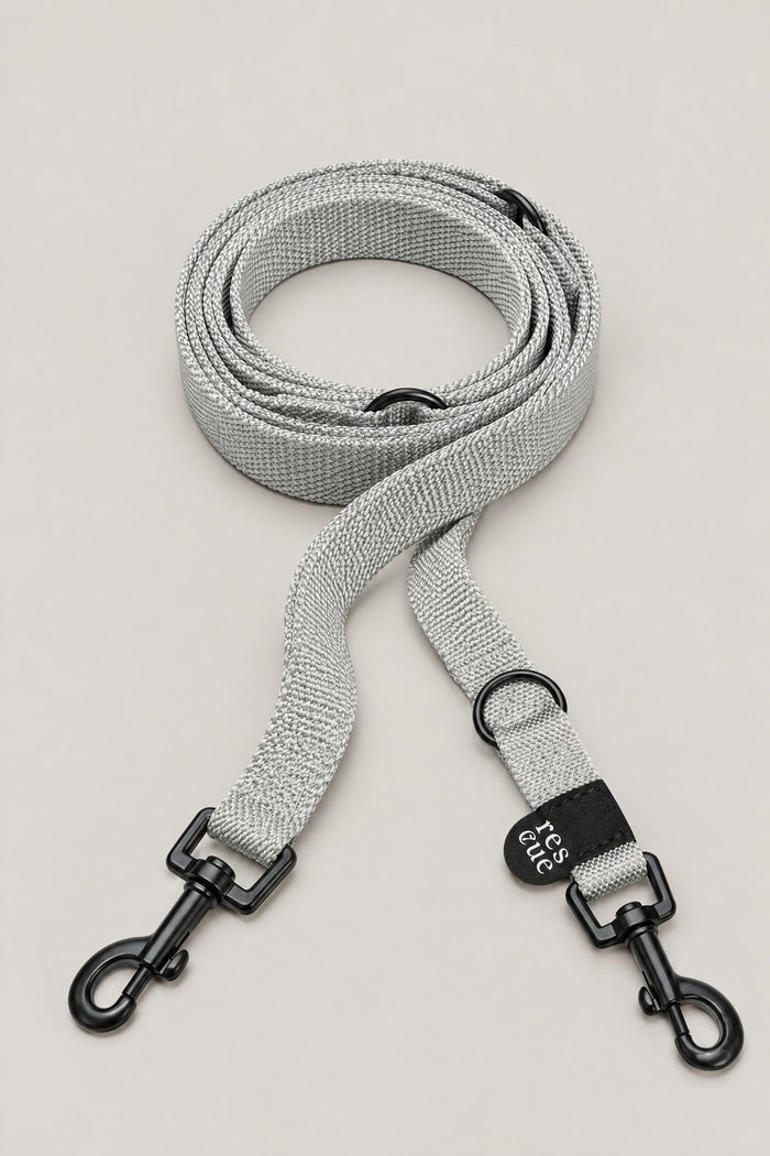 Cloud 7 Nylon Dog Leash RESC7UE Silver