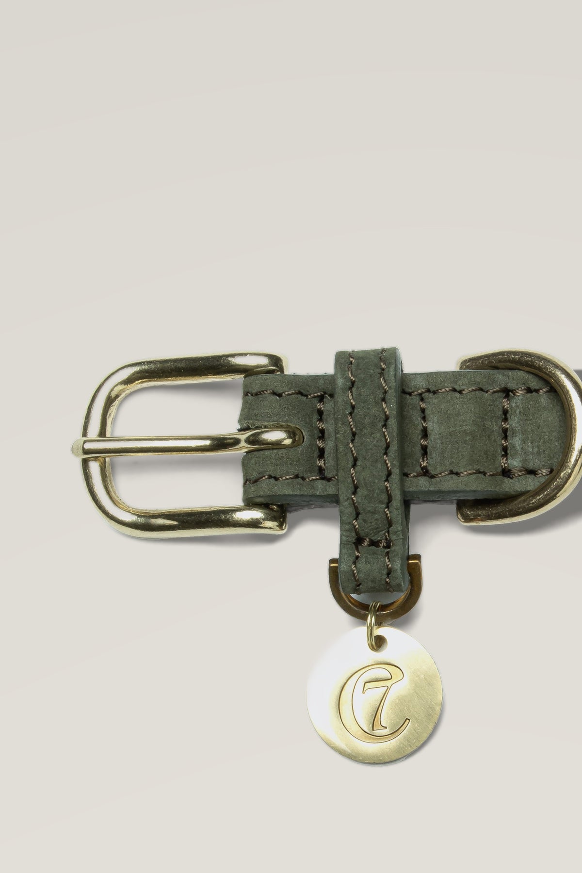 Brass buckle and engraved logo coin of the Cloud 7 Tiergarten Moss nubuck dog collar, close-up