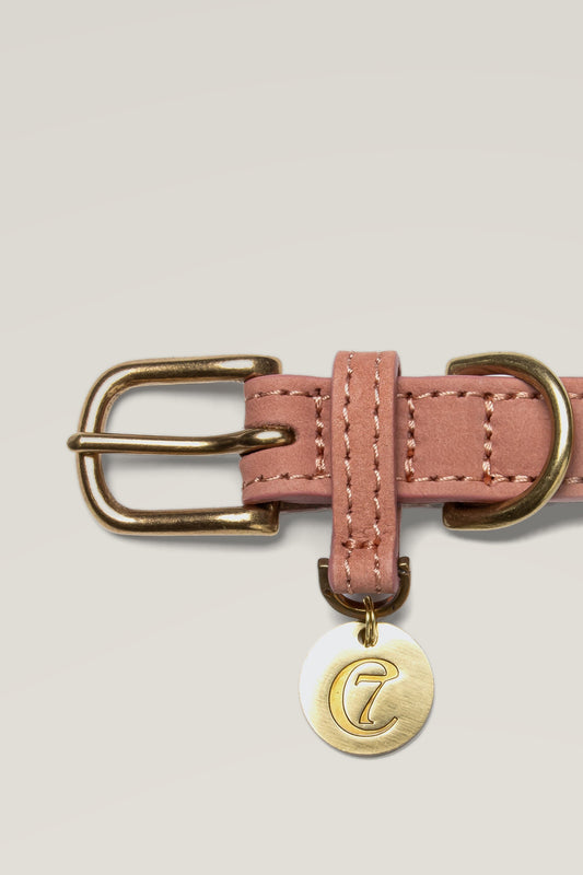 Brass buckle and engraved logo coin of the Cloud 7 Tiergarten Peach nubuck dog collar, close-up