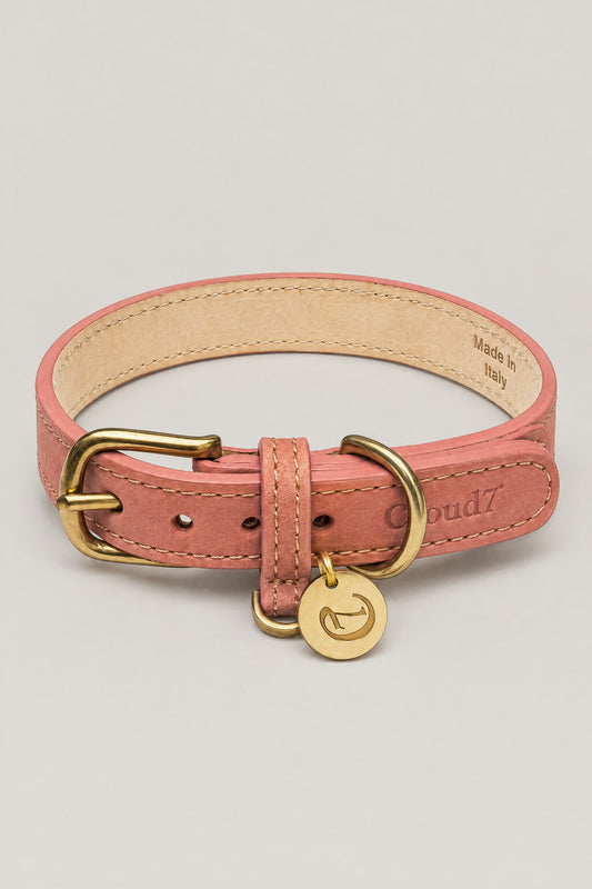 Peach pink nubuck Cloud 7 Tiergarten dog collar with brass buckle and logo coin, front view