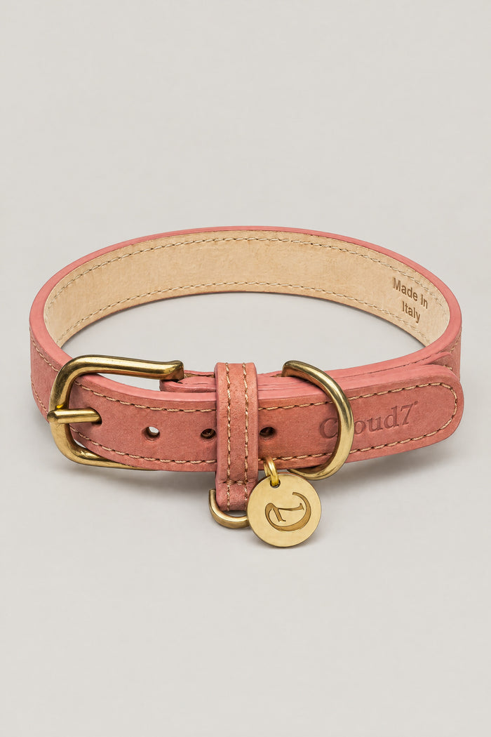 Cloud 7 Dog Collar Tiergarten Peach