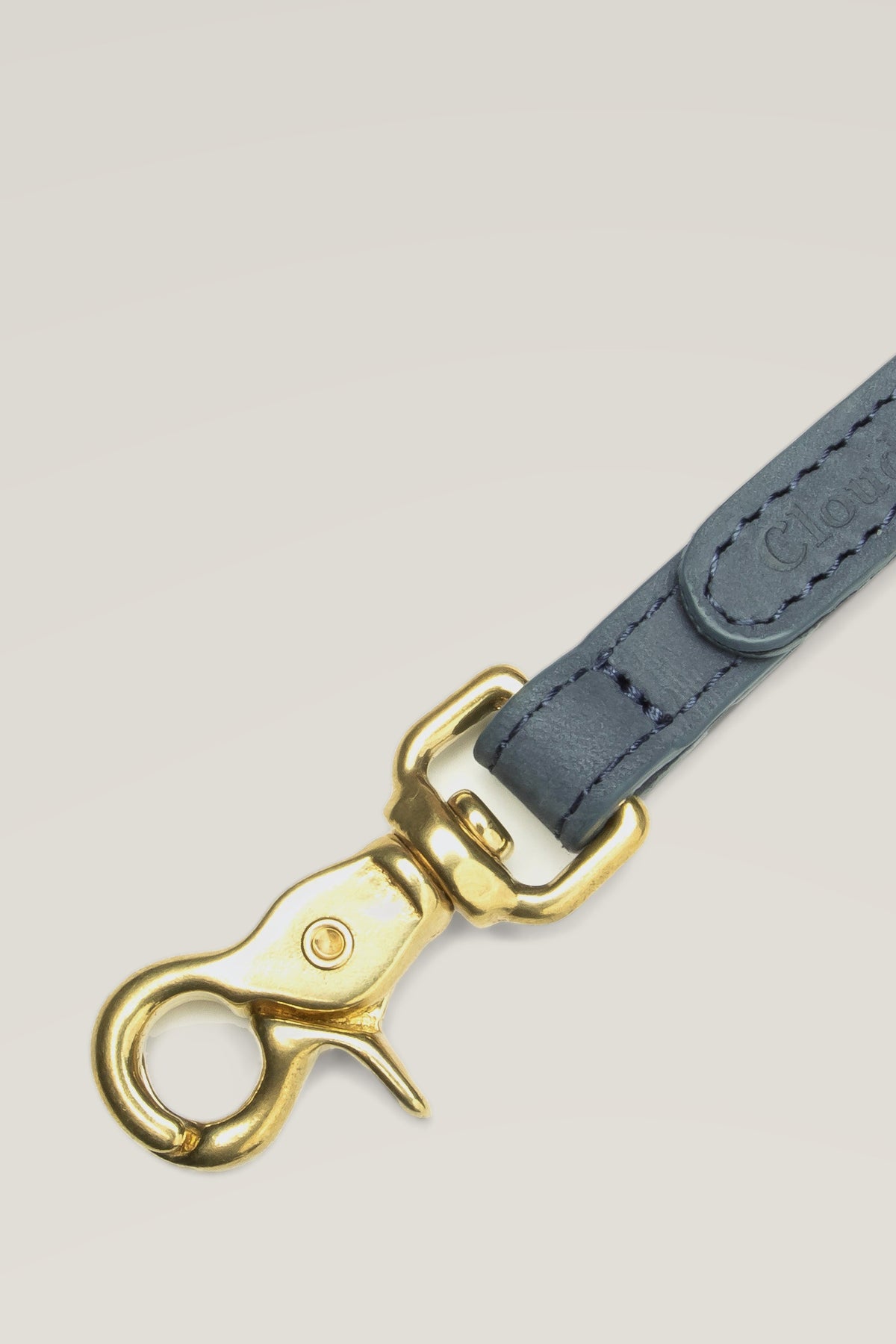 Brass snap hook of the Cloud 7 Tiergarten Dove dog leash, detail