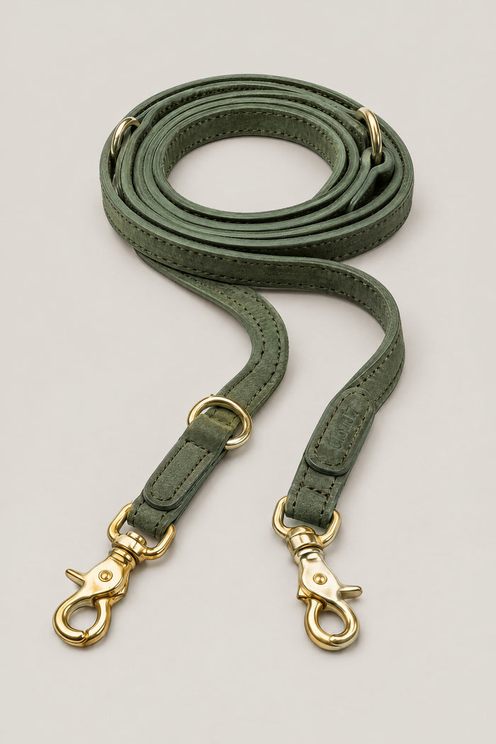 Cloud 7 Dog Leash Tiergarten Moss