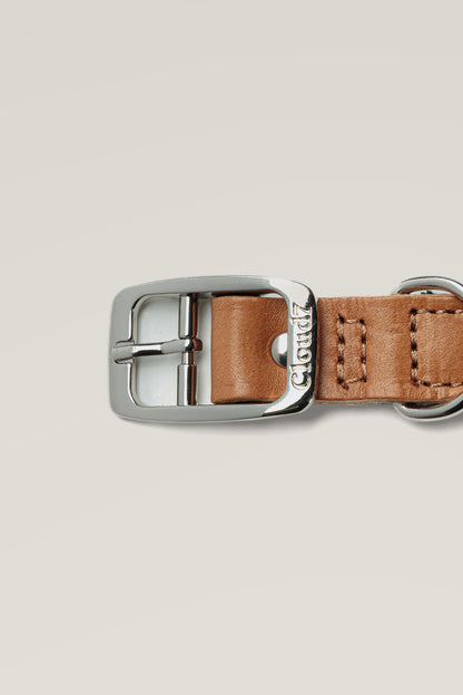 Stainless steel buckle of the Cloud 7 Tivoli Black canvas and leather dog collar, close-up