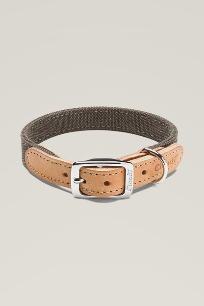 Cloud 7 Tivoli dog collar in greige canvas with tan leather and stainless steel buckle