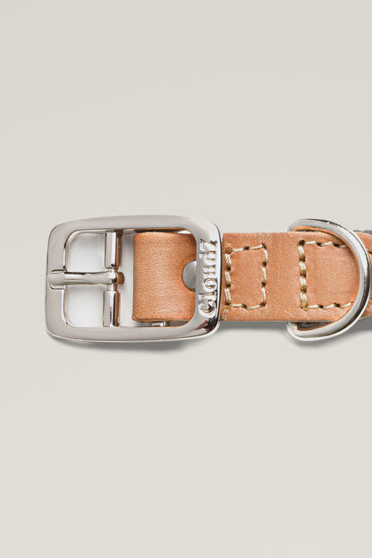 Stainless steel buckle of the Cloud 7 Tivoli Greige canvas and leather dog collar, close-up