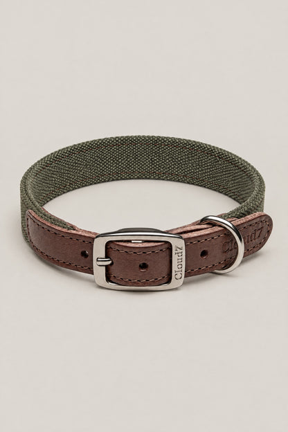 Olive canvas and brown leather Cloud 7 Tivoli dog collar with stainless steel buckle, front view