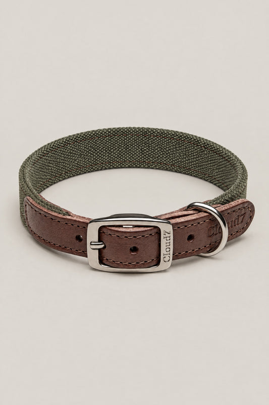 Olive canvas and brown leather Cloud 7 Tivoli dog collar with stainless steel buckle, front view