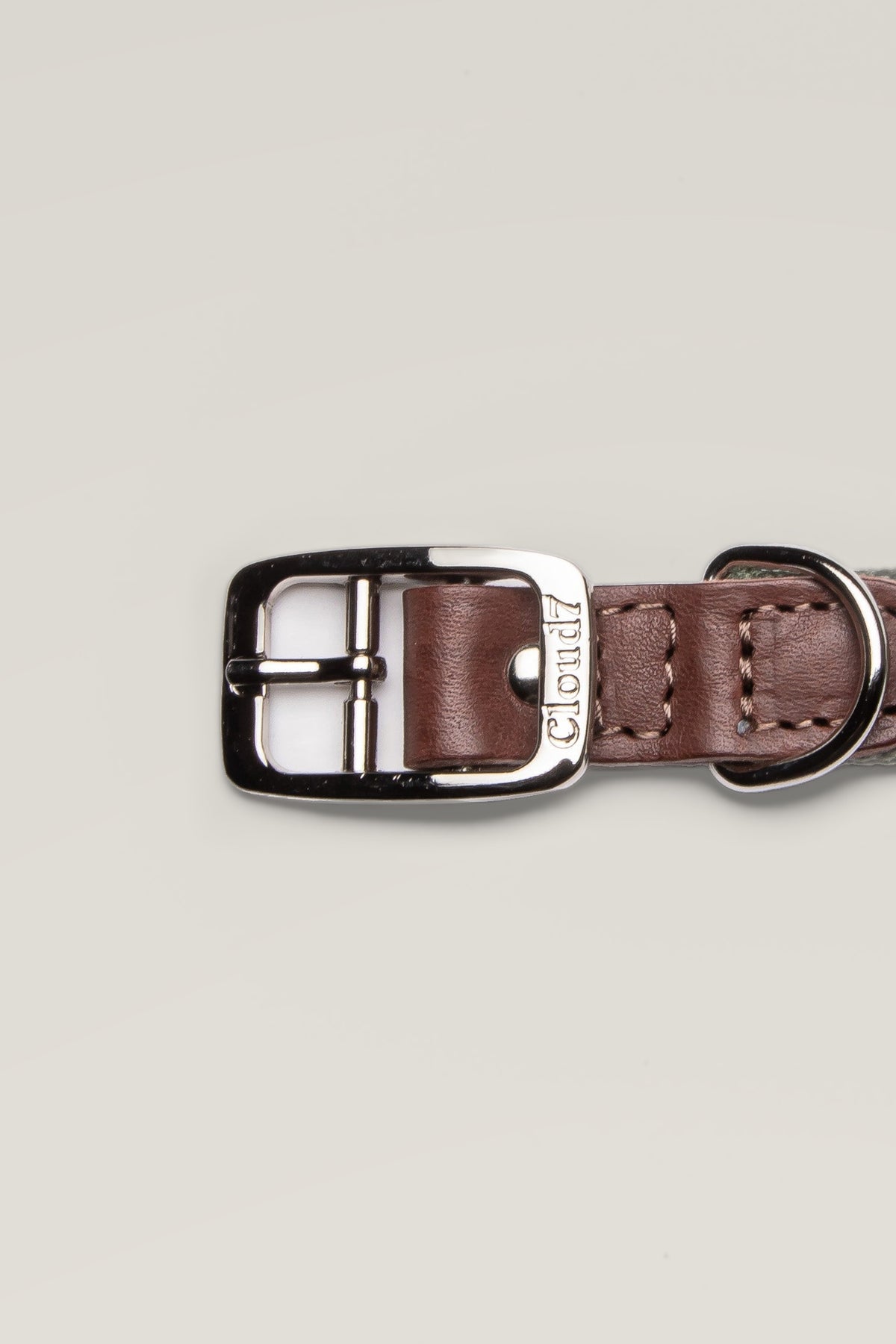 Stainless steel buckle of the Cloud 7 Tivoli Olive canvas and leather dog collar, close-up
