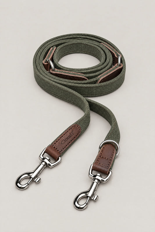 Olive canvas and leather Cloud 7 Tivoli dog leash with stainless steel snap hooks, coiled front view