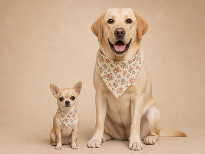 Adjustable bandana collar secure buckle clip