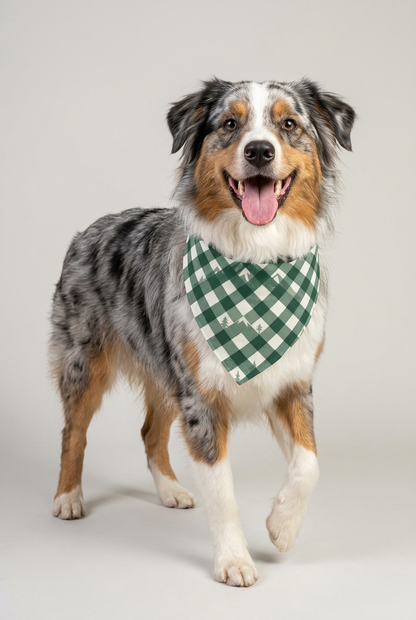 Dachshund wearing green forest plaid dog bandana