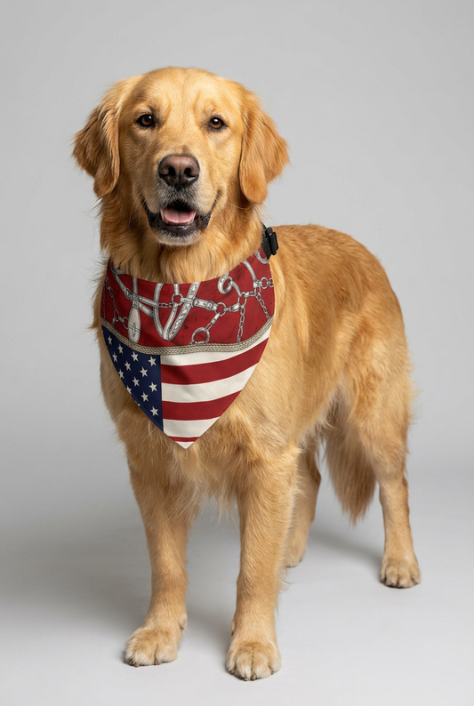 Dachshund wearing patriotic American flag dog bandana