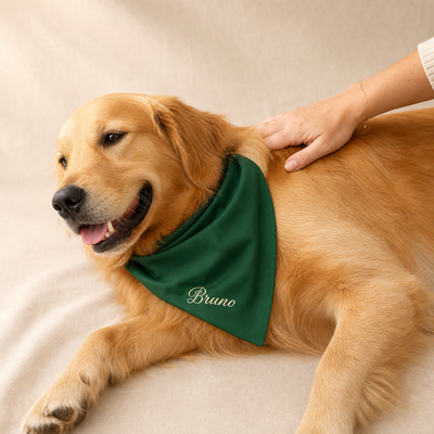 Dog wearing a green bandana with 'Bruno' on it, being petted by a person.