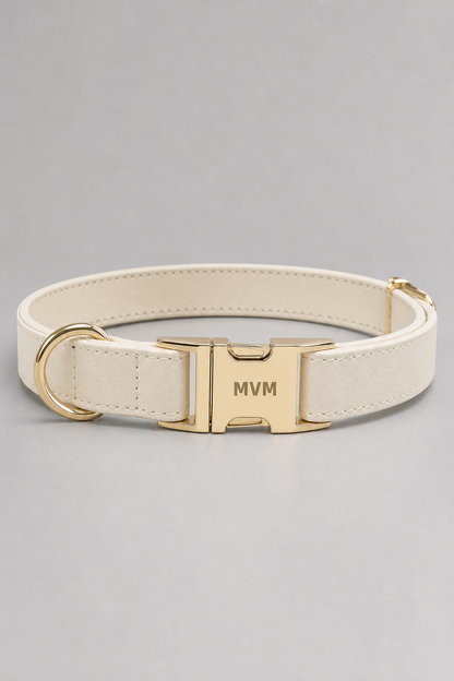 Dog wearing warm beige luxury collar and leash walk set
