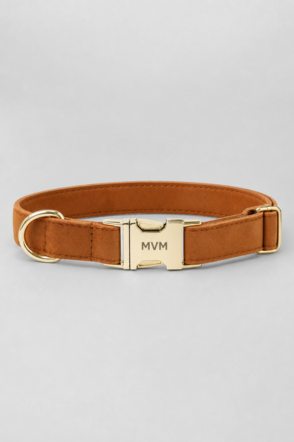 Dog wearing camel luxury collar and leash walk set