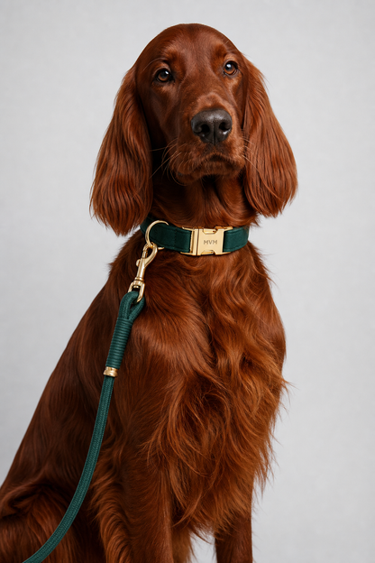 Sage green luxury dog collar and leash set, flat lay
