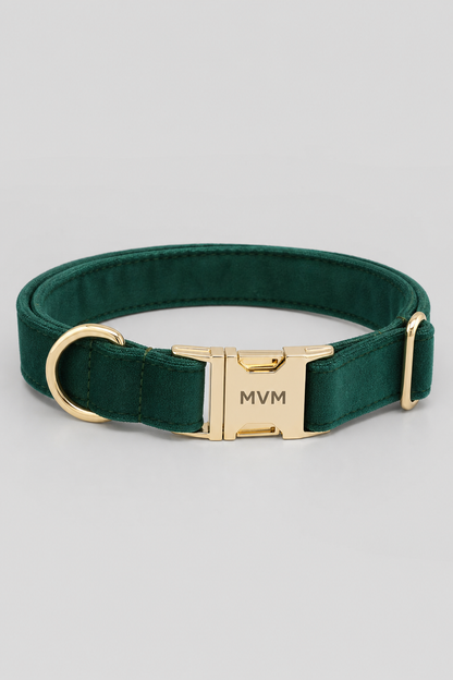 Dog wearing sage green luxury collar and leash set