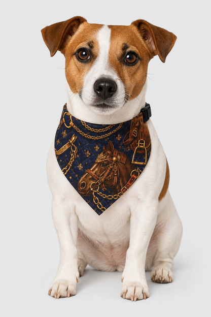 Dachshund wearing brown horse tack vintage chain dog bandana