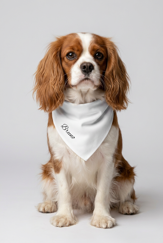 White personalized dog bandana with custom name, adjustable neck strap